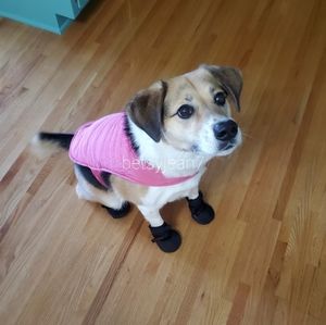 Meet your Posher, Betsy